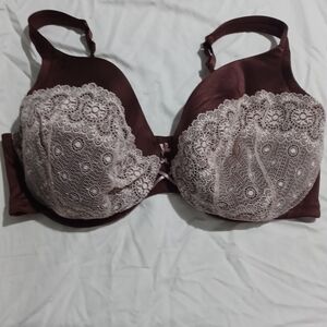 Cacique Brown and Cream Lace Bra